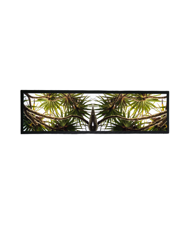 Pandanus